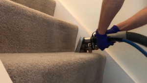 carpet cleaning service wells somerset
