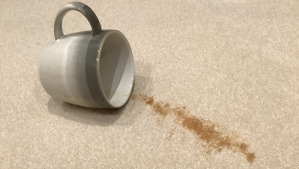 carpet cleaning stain removal services shepton mallet somerset