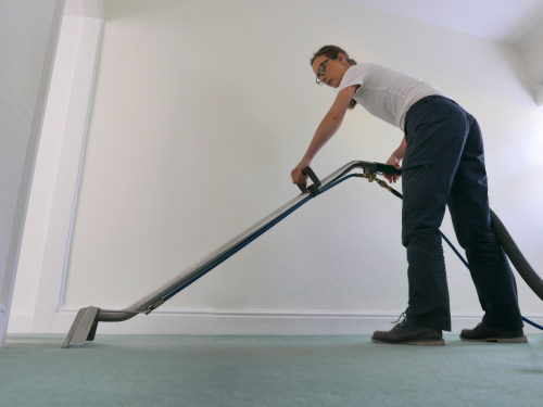 somerset carpet cleaner methods