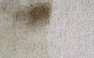Carpet Stain Removal in Glastonbury Somerset