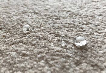 carpet stain protection glastonbury somerset