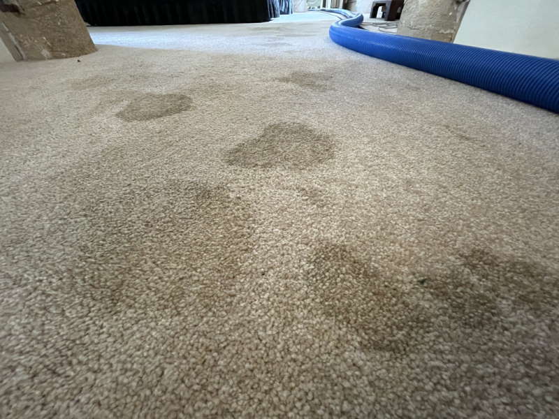 Carpet Cleaners Shepton Mallet Somerset - Dirty Carpet Before Cleaning