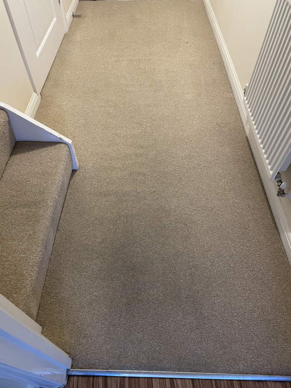 Carpet Cleaning shepton mallet - before and after contrast picture - after