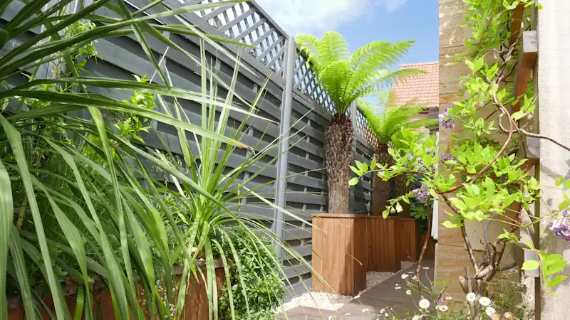 Household & Property Management Services - Tidy Gardens with Tree Ferns